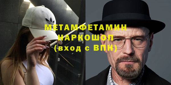 сатива Бородино