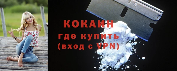 сатива Бородино