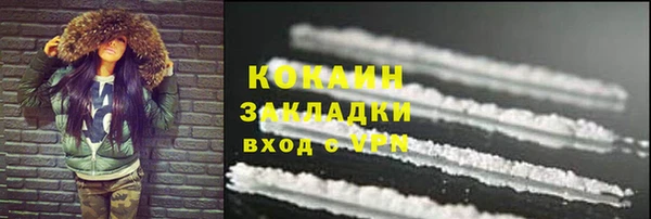 сатива Бронницы
