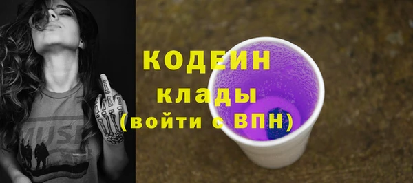 сатива Бородино