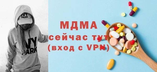 сатива Бородино