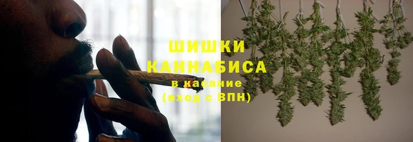 сатива Бронницы
