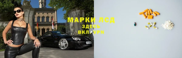 сатива Бородино