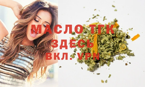 сатива Бородино