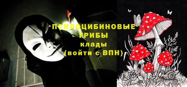 бошки Бугульма