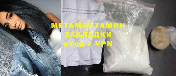 сатива Бородино