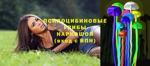сатива Бородино