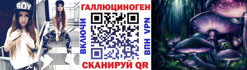 Псилоцибиновые грибы MAGIC MUSHROOMS  закладки  Тбилисская 